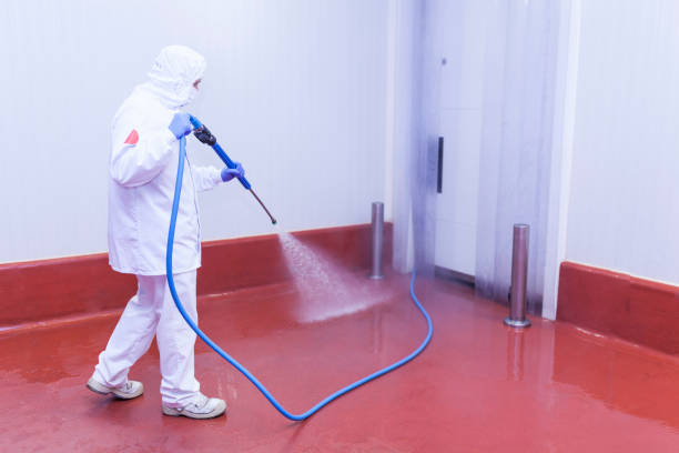 Best Boat and Dock Cleaning  in Hackensack, NJ